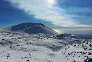 Etna med upphämtning och avlämning från Catania: 3000 meter med linbana och jeep