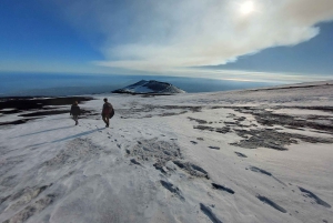 Etna med upphämtning och avlämning från Catania: 3000 meter med linbana och jeep