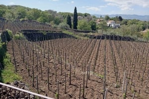 Etna - prywatna piesza wycieczka z przewodnikiem z degustacją wina