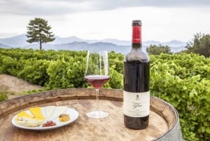 Mt. Etna Private Tour with Optional Food and Wine Tasting
