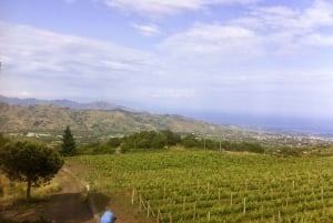 Mt. Etna Private Tour with Optional Food and Wine Tasting