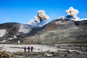 Nicolosi: Etna met kabelbaan, 4x4 en trek excursie
