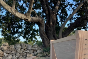 Noto: Od pola do stołu na Sycylii - lekcje gotowania na farmie