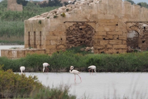 Noto: Begeleide trekking en vogels kijken in Vendicari Reserve