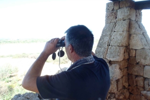 Noto: Begeleide trekking en vogels kijken in Vendicari Reserve