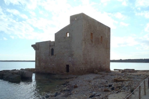 Noto: Begeleide trekking en vogels kijken in Vendicari Reserve