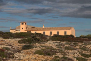 Noto: Begeleide trekking en vogels kijken in Vendicari Reserve