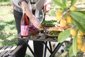 能登：農場から食卓までを体験するハイライトツアー