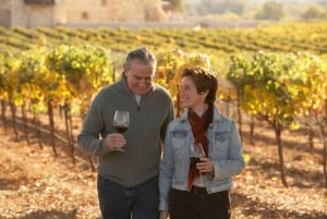Noto: Noto Valley Winery Tour med vinsmagning