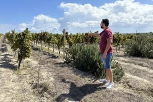 Noto: Cata de vinos y visita a la finca con productos locales