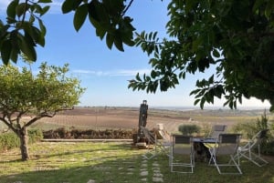 Noto : Dégustation de vins et visite d'un domaine avec des produits locaux