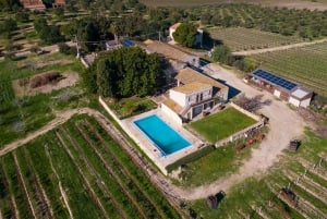 Noto: Wine Tasting and Estate Tour with Local Products