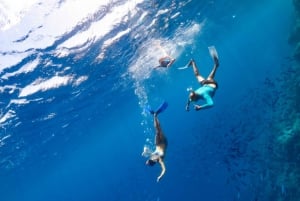 Ognina: snorkelen in natuurreservaat Plemmirio
