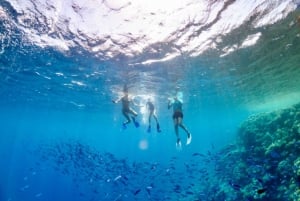 Ognina: Snorkeling w rezerwacie przyrody Plemmirio