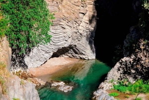 Circuit de dégustation de vins de la vieille Sicile et de l'Etna au départ de Taormine