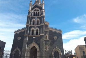 Circuit de dégustation de vins de la vieille Sicile et de l'Etna au départ de Taormine