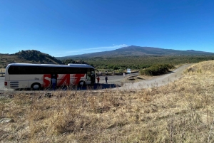Circuit de dégustation de vins de la vieille Sicile et de l'Etna au départ de Taormine