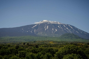 Circuit de dégustation de vins de la vieille Sicile et de l'Etna au départ de Taormine