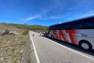 Circuit de dégustation de vins de la vieille Sicile et de l'Etna au départ de Taormine