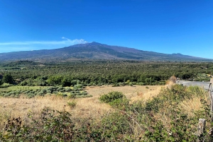 Circuit de dégustation de vins de la vieille Sicile et de l'Etna au départ de Taormine