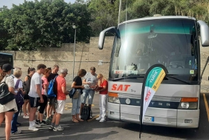 Circuit de dégustation de vins de la vieille Sicile et de l'Etna au départ de Taormine