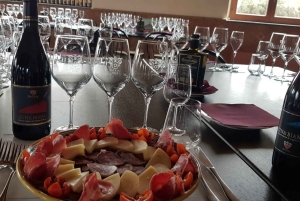 Circuit de dégustation de vins de la vieille Sicile et de l'Etna au départ de Taormine