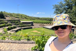 Circuit de dégustation de vins de la vieille Sicile et de l'Etna au départ de Taormine