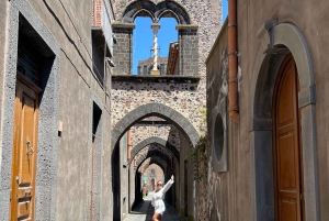 Circuit de dégustation de vins de la vieille Sicile et de l'Etna au départ de Taormine