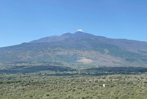 Circuit de dégustation de vins de la vieille Sicile et de l'Etna au départ de Taormine