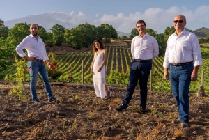 Experiência de prova de azeite em Nicolosi