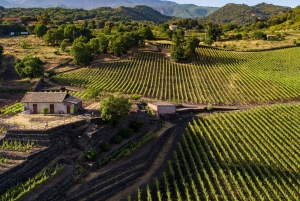 Experiência de prova de azeite em Nicolosi