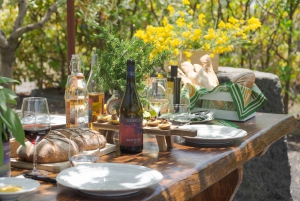 Experiência de prova de azeite em Nicolosi