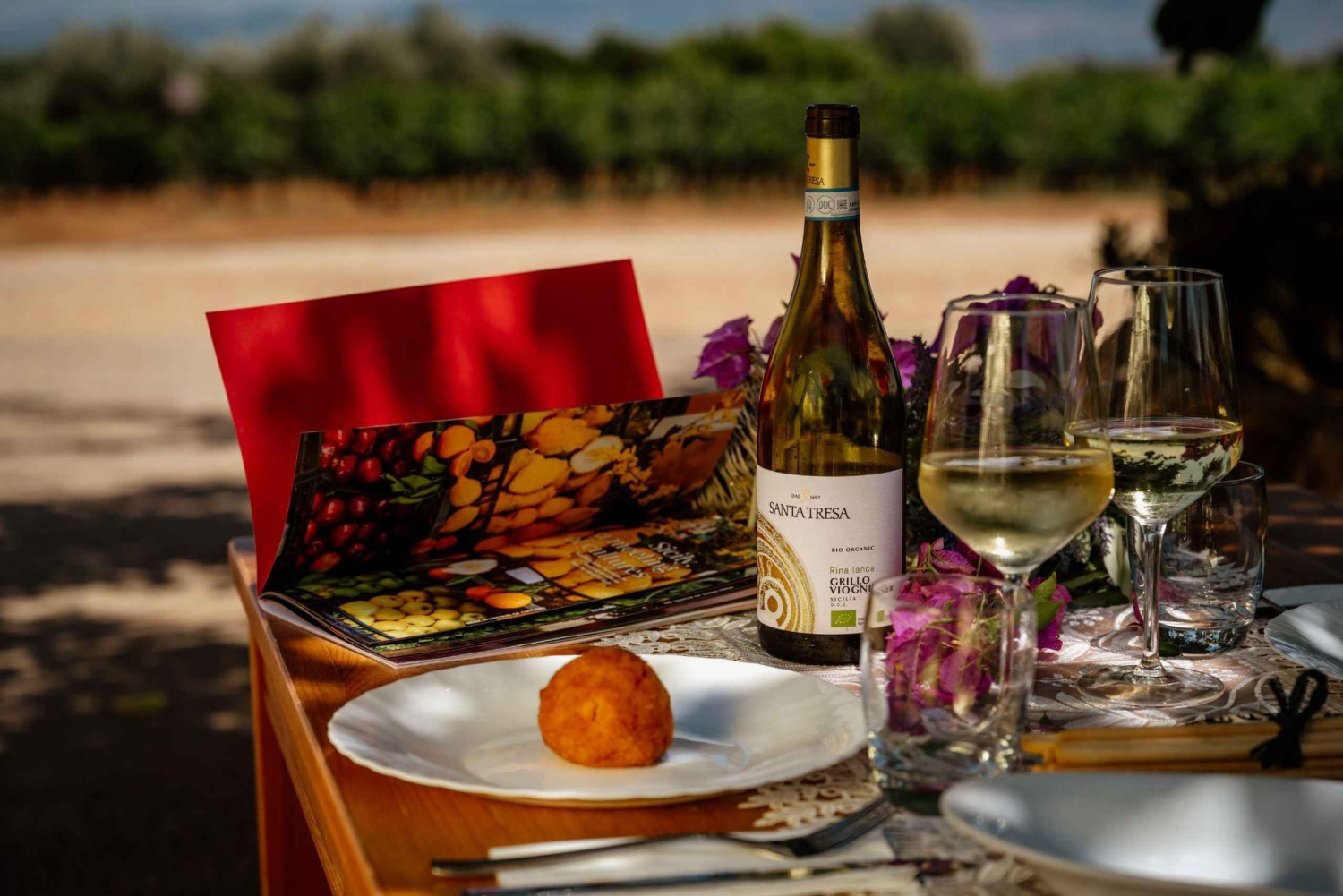 Organic Winery Tour, Wine Tasting & Light Lunch near Ragusa