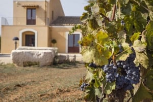 Organic Winery Tour, Wine Tasting & Light Lunch near Ragusa
