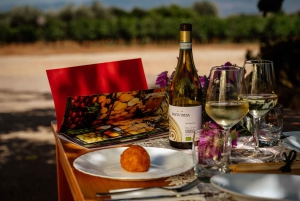 Organic Winery Tour, Wine Tasting & Light Lunch near Ragusa