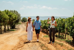 Organic Winery Tour, Wine Tasting & Light Lunch near Ragusa