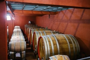 Organic Winery Tour, Wine Tasting & Light Lunch near Ragusa