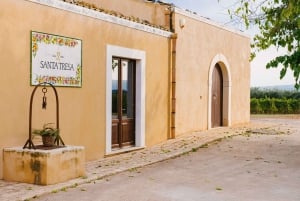 Organic Winery Tour, Wine Tasting & Light Lunch near Ragusa