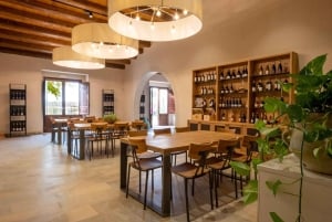 Organic Winery Tour, Wine Tasting & Light Lunch near Ragusa