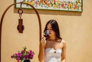 Organic Winery Tour, Wine Tasting & Light Lunch near Ragusa