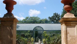 Orto Botanico di Palermo