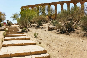 Palermo: Excursão de um dia a Agrigento e ao Vale dos Templos