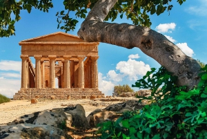 Palermo: Excursão de um dia a Agrigento e ao Vale dos Templos