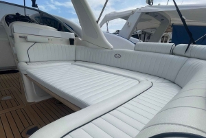 Palermo bådtur med transport i varevogn. Opdag de smukkeste havbunde