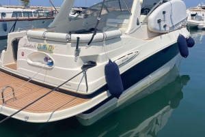 Palermo bådtur med transport i varevogn. Opdag de smukkeste havbunde