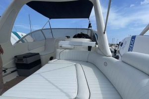 Palermo bådtur med transport i varevogn. Opdag de smukkeste havbunde