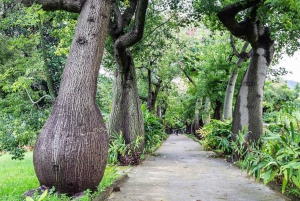 Palermo: Botanical Garden Entry Ticket and Palermo Audio App