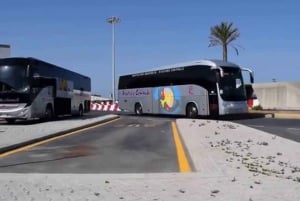 Palermo: Bus Transfer to/from Airport and City Center