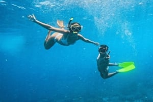 Palermo: Excursão diária de catamarã com almoço e snorkeling incluídos
