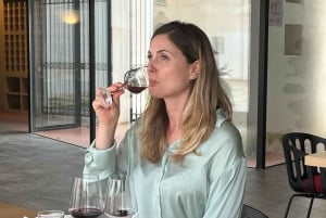 Palermo: Erice & Marsala Saltpannor med lunch och provsmakning